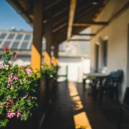 Ferienweingut Hammes *