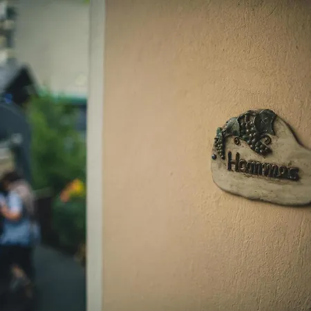 公寓 Ferienweingut Hammes 米尔海姆