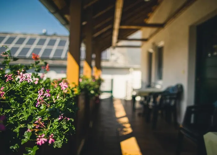 Ferienweingut Hammes *