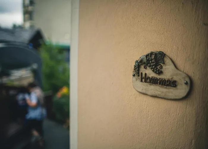 Apartamento Ferienweingut Hammes Mulheim an der Mosel